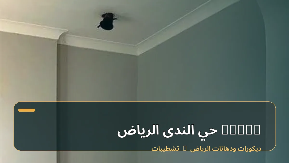 decor حي الندى الرياض