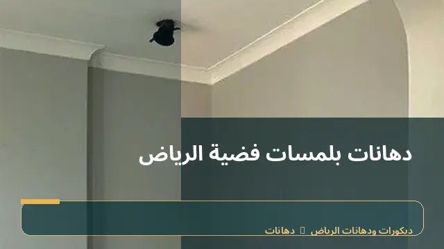 دهانات بلمسات فضية الرياض